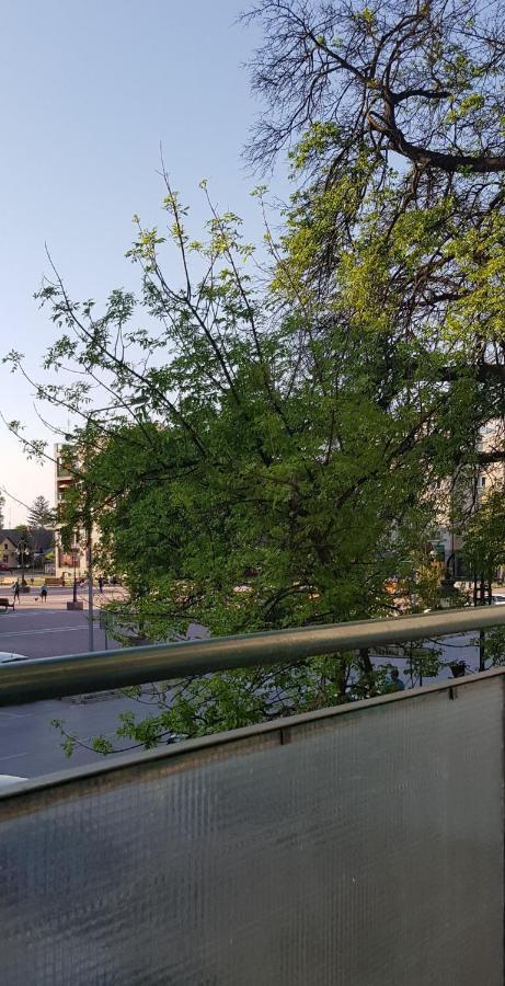Apartmán Citys Apatin Exteriér fotografie