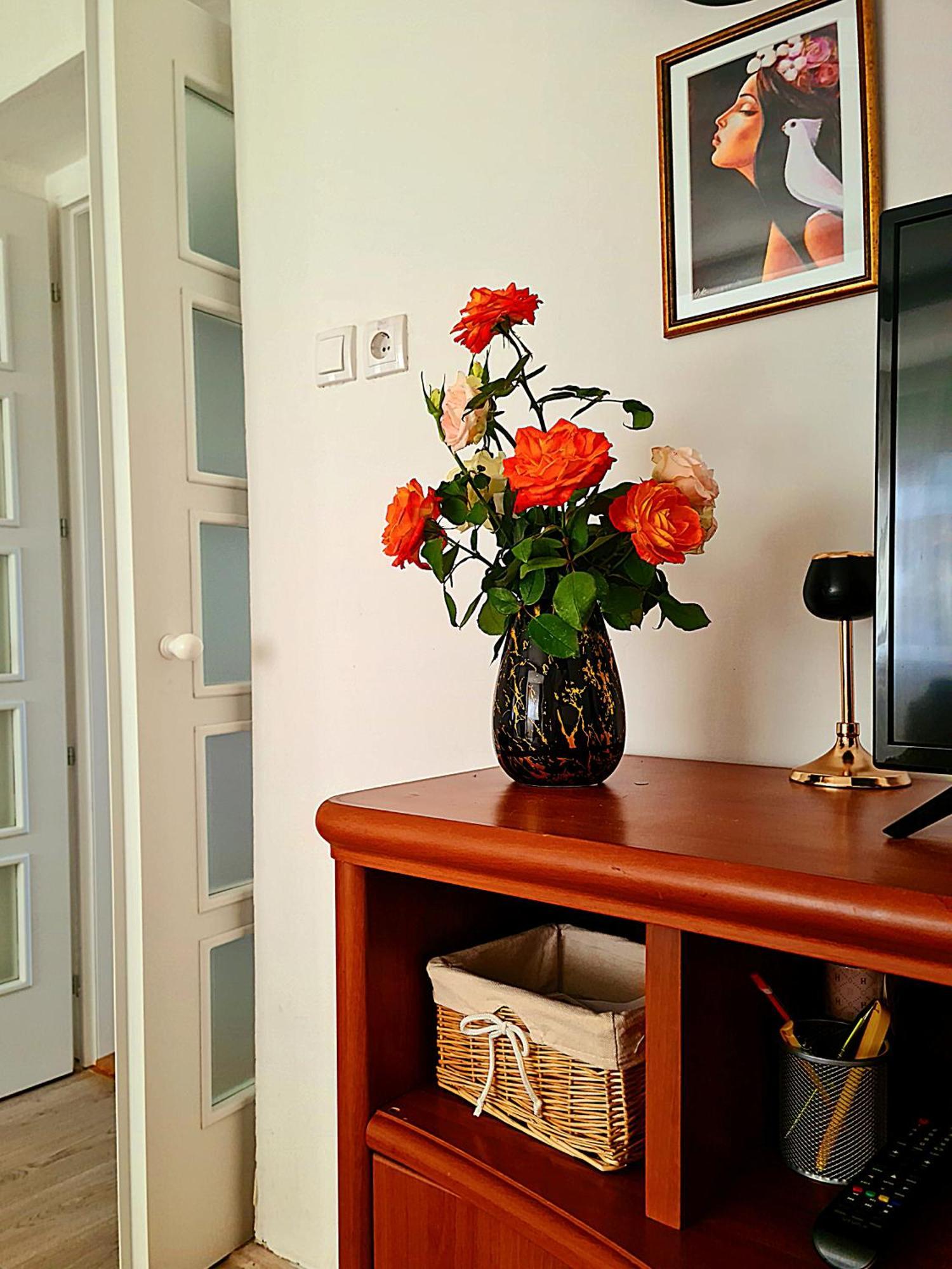 Apartmán Citys Apatin Exteriér fotografie
